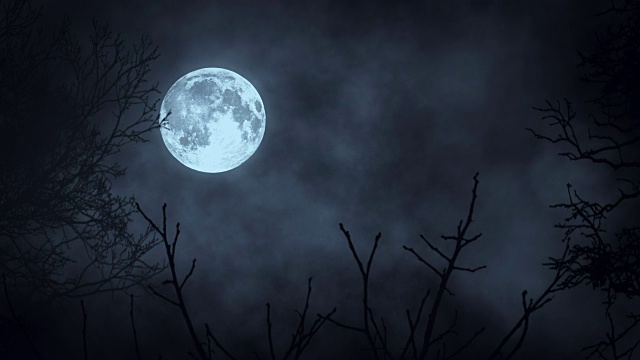 詳情圖-月月光。月亮的夜空。神秘的令人毛骨悚然的恐怖。樹的影子樹剪影。自然背景