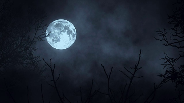 詳情圖-月月光。月亮的夜空。神秘的令人毛骨悚然的恐怖。樹的影子樹剪影。自然背景