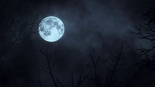 詳情圖-月月光。月亮的夜空。神秘的令人毛骨悚然的恐怖。樹的影子樹剪影。自然背景