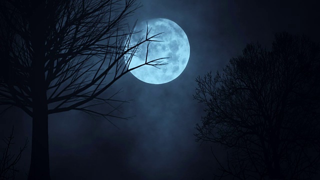 詳情圖-月亮夜晚天空的無縫循環(huán)時(shí)間流逝。令人毛骨悚然的樹木的剪影。黑暗?？膳碌奶炜?。云移動(dòng)