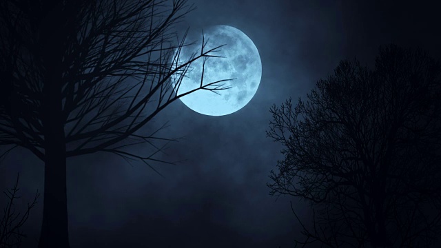 詳情圖-月亮夜晚天空的無縫循環(huán)時(shí)間流逝。令人毛骨悚然的樹木的剪影。黑暗?？膳碌奶炜铡Ｔ埔苿?dòng)