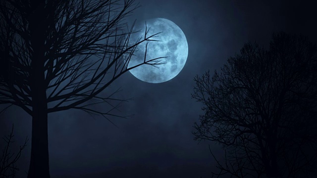 詳情圖-月亮夜晚天空的無縫循環(huán)時(shí)間流逝。令人毛骨悚然的樹木的剪影。黑暗。可怕的天空。云移動(dòng)