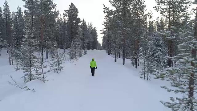 在芬兰令人惊叹的冬日树林里，一名女子在雪地上跋涉