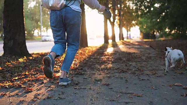 年轻快乐的女人玩小可爱的法国斗牛犬在道路在日落在秋天