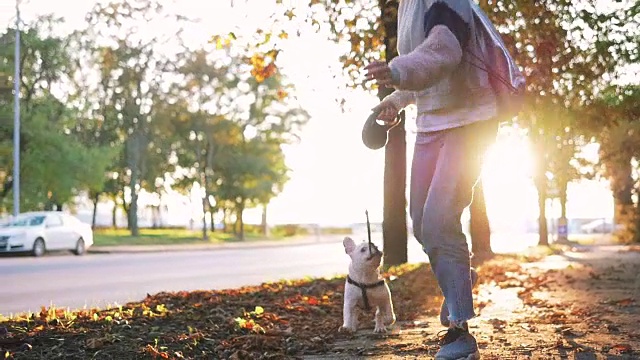 年轻快乐的女人玩小可爱的法国斗牛犬在道路在日落在秋天
