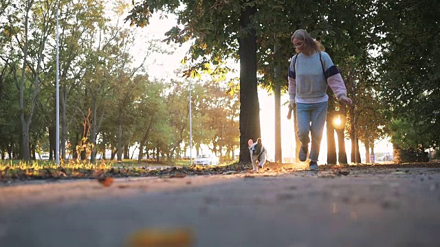 年轻快乐的女人玩小可爱的法国斗牛犬在道路在日落在秋天