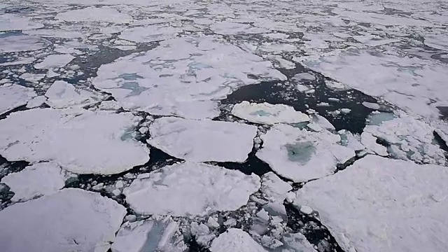 在北极的冰中旅行