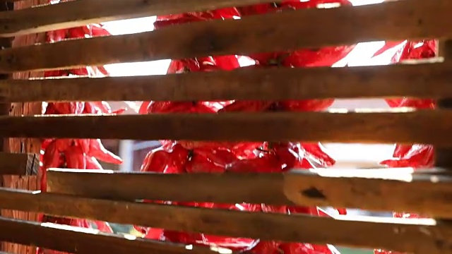 辣椒的字符串