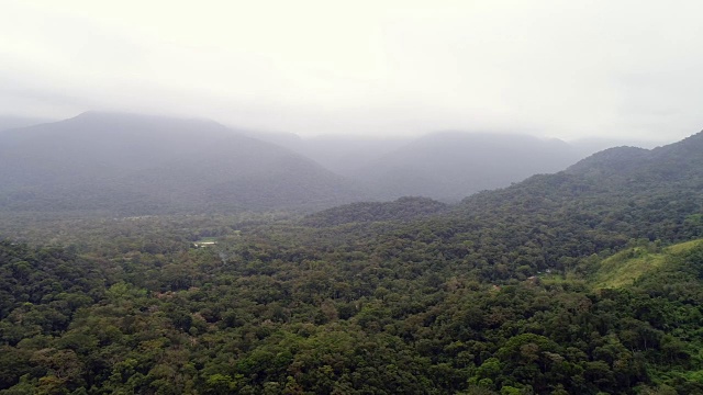 森林景观和山脉在一个多云的日子在巴西