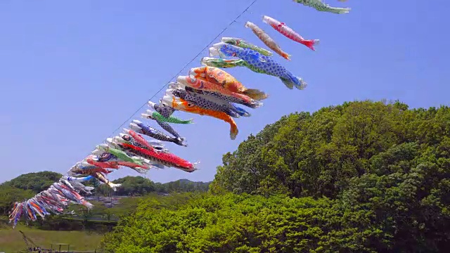 Koinobori(锦鲤形日本风筝)