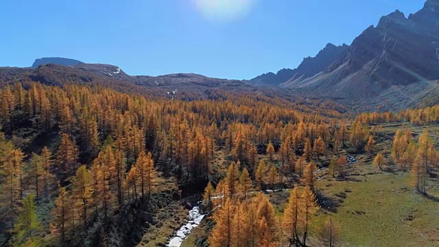 在阳光明媚的秋天，向后空中俯瞰高山山谷和橙色落叶松森林。欧洲阿尔卑斯山户外丰富多彩的自然景观，山野秋季的建立。4k无人机飞行建立镜头