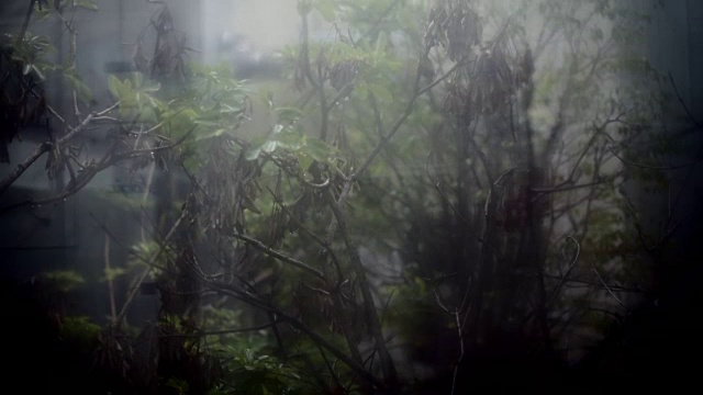 雨在玻璃后面。雨滴落在窗户上