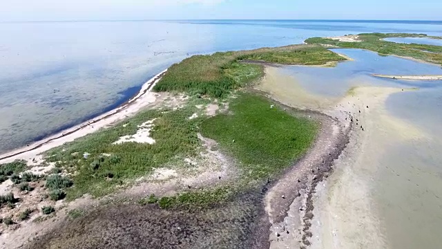 夏季航空拍摄的Dzharylhach弯曲的沙滩和绿色湿地区域