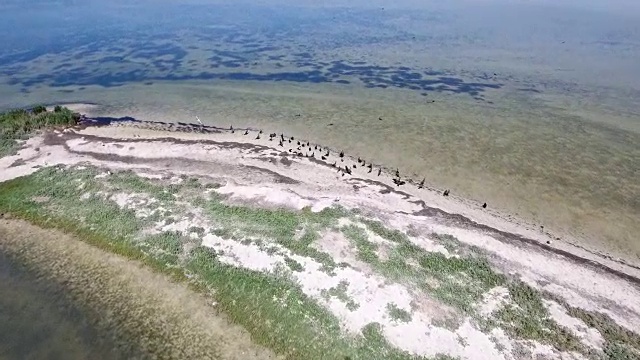 Dzharylhach弯曲的沙地和绿色湿地的夏季航拍