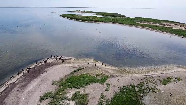 扎哈尔哈希(Dzharylhach)的夏季湿地航拍，看起来像蛇一样的沙地
