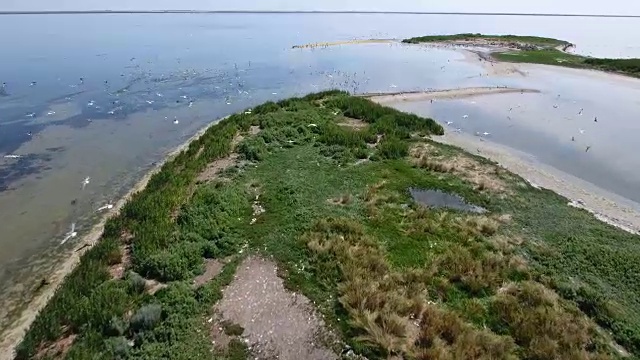 空中拍摄的扎伊尔哈赫的黑海浅滩与绿色湿地和鸟类