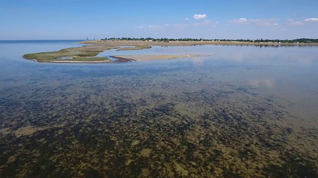 在一个阳光明媚的日子里，鸟瞰Dzharylhach浅滩上五颜六色的杂草