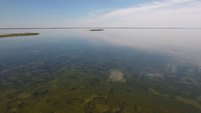 夏扎里哈克浅滩绿色杂草鸟瞰图