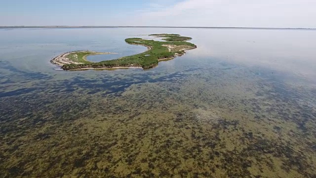 夏扎里哈克浅滩绿色湿地鸟瞰图