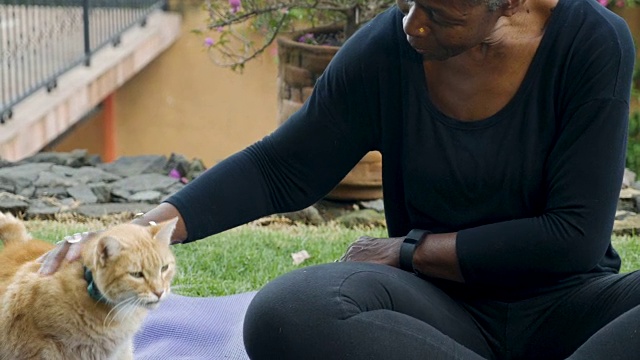 迷人的女人抚摸和爱抚她的橙色宠物猫