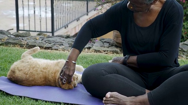 迷人的非洲裔美国女人玩她活泼的宠物橙色的猫