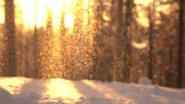 日出时，闪闪发光的雪花落在积雪的森林空地上