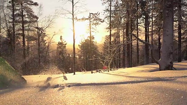 慢动作雪鞋和奔跑在新鲜的雪在森林在金色的日落