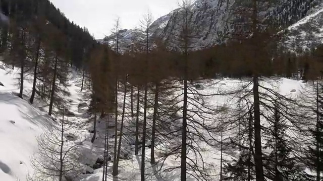 冬季无人机建立雪河溪和森林森林山谷下的冰山。雪山在户外自然。向前飞行。旅行探索阿尔卑斯山，4k俯视图视频