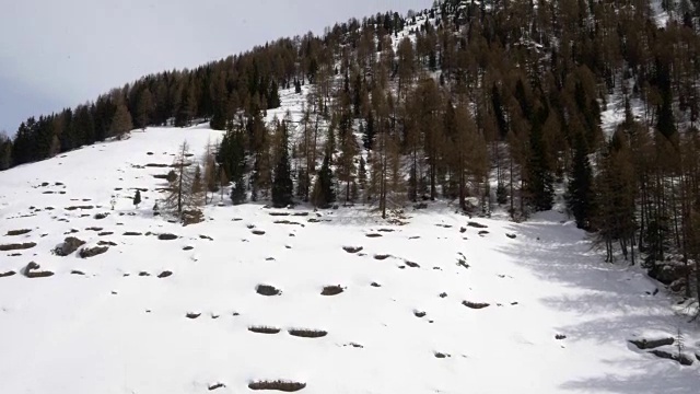 冬季无人机建立雪山下的森林森林山谷。雪山在户外自然。向前飞行。旅行探索阿尔卑斯山，4k俯视图视频