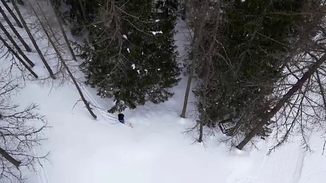 头顶上的无人机飞行建立在滑雪者在雪域森林中滑雪的上空。冬天的雪在野外的山中自然。滑雪登山活动。笔直的视角。4k俯视图视频