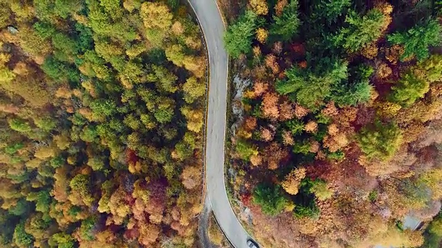 空中鸟瞰汽车行驶在五彩缤纷的秋天森林道路上。秋天有橙、绿、黄、红的树林。山区街道道路的建立。4k无人机飞行直线下降建立拍摄