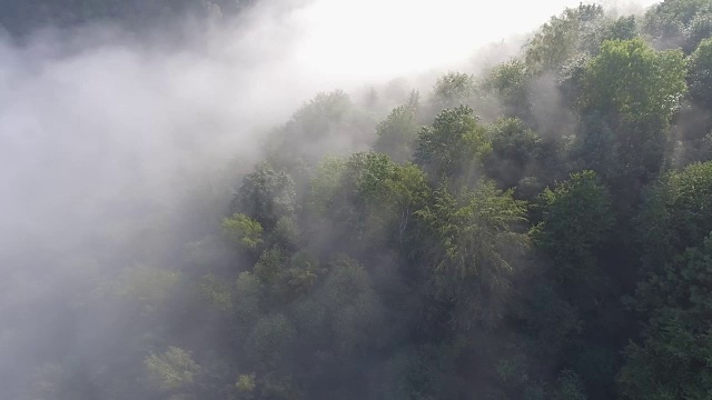 景观模糊全景。梦幻般的日出在岩石山与视野到雾气蒙蒙的山谷下面。福雷斯特上空雾蒙蒙的云。观赏下面的仙景。多雾的森林山。从以上观点。