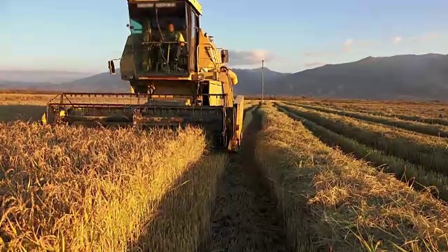 超高清联合收割机收集小麦作物，索尼4K拍摄