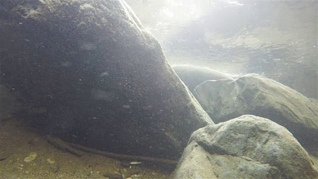 内景的河流与大的石头和水颗粒通过