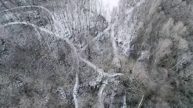 空中无人机飞行建立在雪山森林上空。冬天的雪在野外的山中自然。直接透视旅行探索阿尔卑斯山。4k俯视图视频