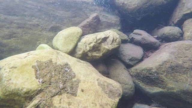 从河中流过的水流