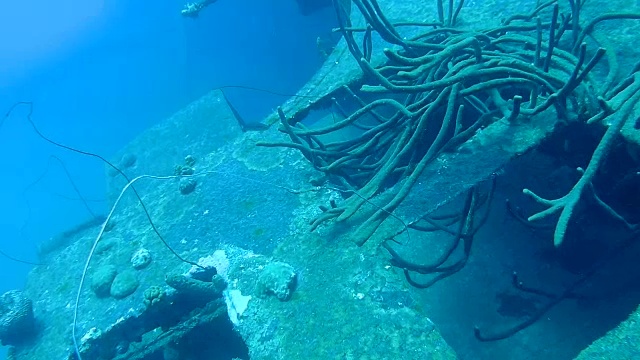 海难希尔玛胡克博内尔岛加勒比海水下1080P视频