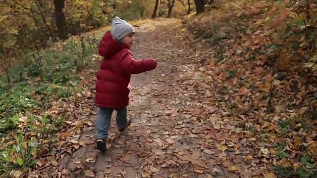 蹒跚学步的小男孩在五彩缤纷的秋天公园里奔跑