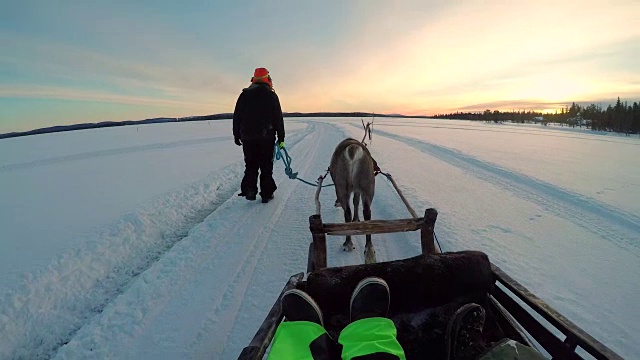 POV:导游带领着鹿拉雪橇槽雪覆盖的拉普兰景观