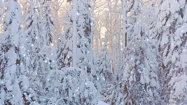 冬日仙境圣诞雪的背景