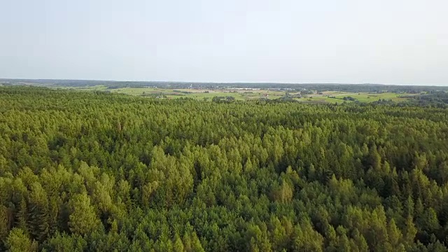 从鸟瞰森林景观。航空摄影测量