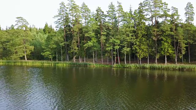全景图从右到左，在河森林地区。航空摄影测量
