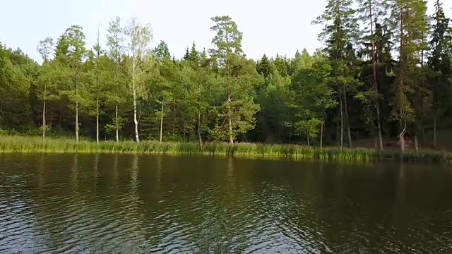 树干倒映在平静的湖面上。航空摄影测量