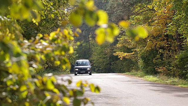 詳情圖-家里的車開在森林里的一條路上。