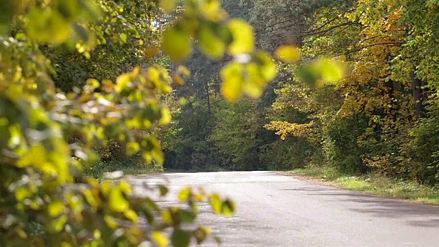 詳情圖-家里的車開在森林里的一條路上。