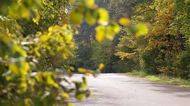 詳情圖-家里的車開在森林里的一條路上。
