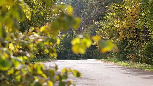詳情圖-家里的車開在森林里的一條路上。