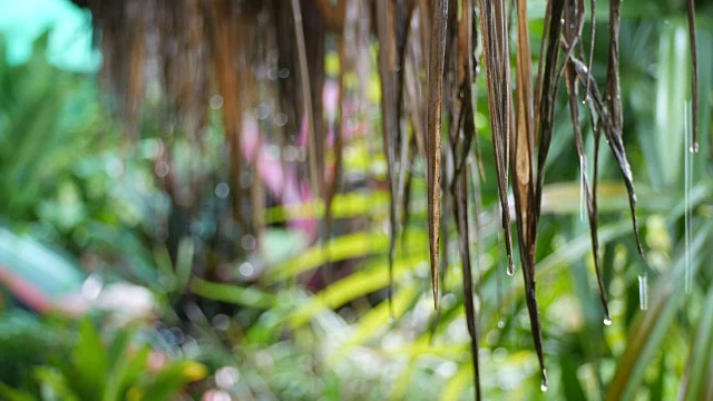 雨沿着尼帕叶屋顶落下