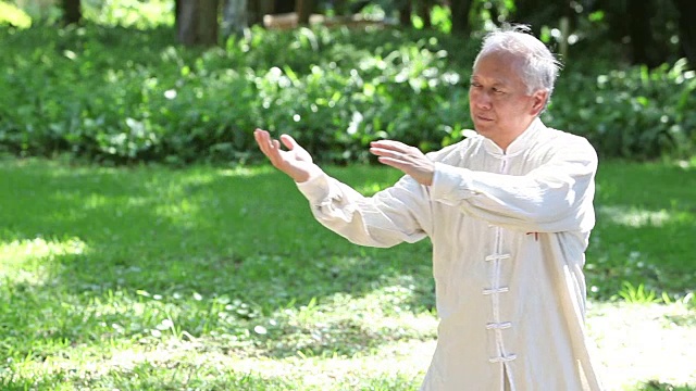 亚洲男人练习太极