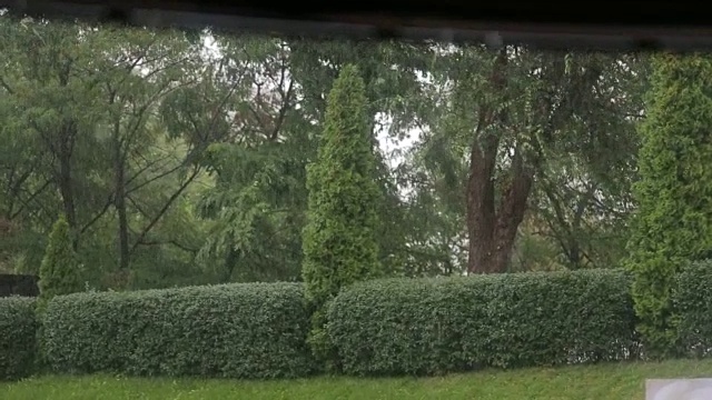 公园里有大雨和大风。
